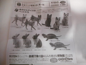 海洋堂☆カプセルQ 日本ペット動物大全1☆日本猫（茶虎）☆０６