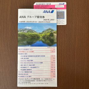 ANA 全日空 株主優待 冊子 割引 航空券 飛行機 旅行 出張 JAL スカイマーク 日本航空 羽田 成田 那覇 沖縄 北海道