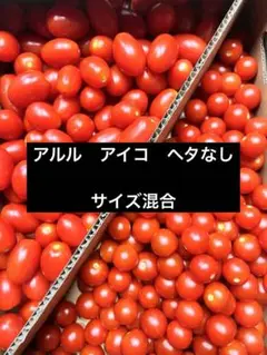 北海道産　ミニトマト　ミックス　3キロ