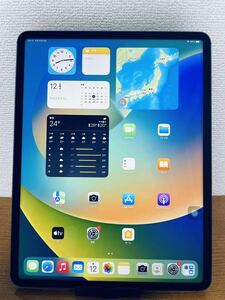 iPad Pro 12.9インチ (第5世代) 128GB WiFi + セルラーモデル