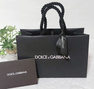 ドルチェ&ガッバーナ「DOLCE&GABBANA 」ミニショッパー (4010) ブランド紙袋 ショップ袋 22×14×11cm 小物箱サイズ ドルガバ 折らずに配送