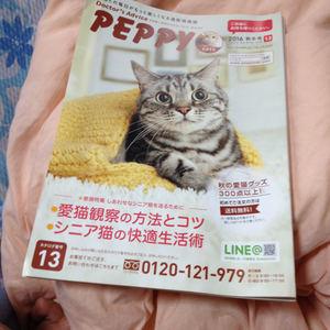 peppy cats 2016 秋冬号