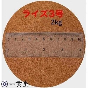 ライズ3号 2kg メダカ めだか エサ 餌 おとひめ ハイグロウ リッチ 送料無料