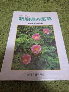 【送料込み　山歩き携帯に】カラーガイド　新潟県の薬草