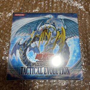 遊戯王　未開封　BOX タクティカルエボリューション　スリーブ　tactical evolution 究極宝玉神レインボードラゴン　レリーフ　当時物