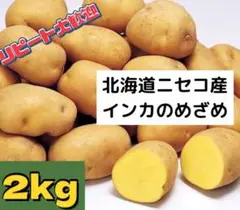 北海道ニセコ産のじゃがいも　インカのめざめ2kg