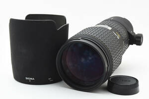 SIGMA シグマ 100-300mm F4 APO EX HSM ニコン Nikon #2279411A