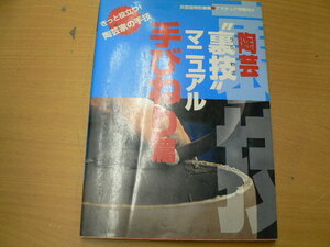 陶芸裏技マニュアル 手びねり篇　 きっと役立つ陶芸家の手技 アマチュア作陶帖　　　b