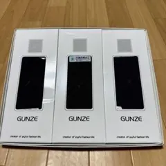 GUNZE メンズ　ソックス　3足セット　25㎝ 靴下　ビジネス　グンゼ