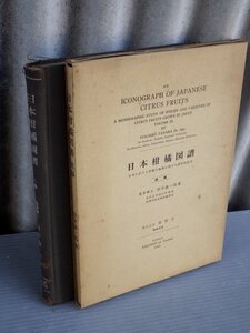 【大型本】日本柑橘図譜 〈上巻（1948年2版）〉＋〈続編（1980年初版）〉2冊セット/田中論一郎◆養賢堂 ※1946年刊の下巻は欠品です