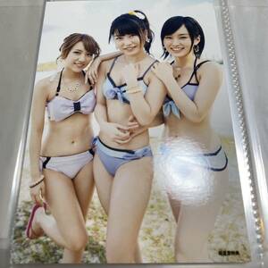 AKB48 ラブラドールレトリバー 新星堂 店舗特典 生写真 山本彩 高橋みなみ 横山由依 さや姉 NMB48 たかみな 水着 ビキニ