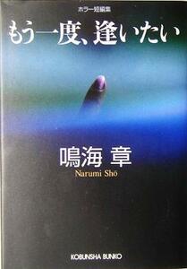 もう一度、逢いたい 光文社文庫/鳴海章(著者)