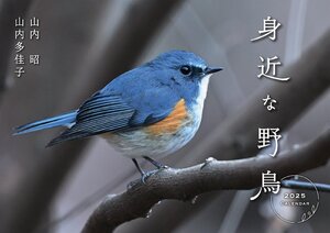 身近な野鳥カレンダー 2025（壁掛け） ([カレンダー])