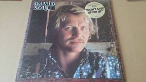 DAVID SOUL【DAVID SOUL】輸入盤美品 LPHY★