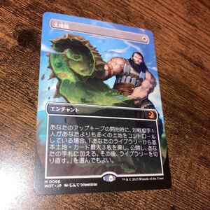 土地税　アニメ絵　ギャザリング mtg エルドレイン の森