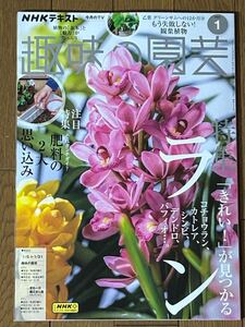 趣味の園芸　2025年1月号　1月5日-1月31日