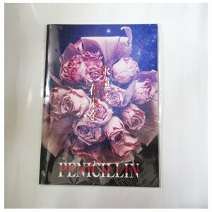 V系 バンド PENICILLIN 永遠と花束を DVD パンフレット付き　TYPE A ペニシリン 受注販売 2023