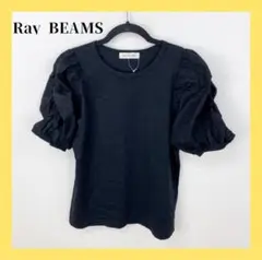 〇4838B〇 Ray BEAMS 半袖カットソー 女性