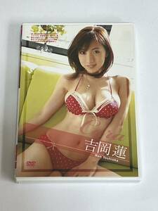 吉岡蓮 Cara DVD