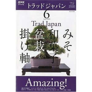 NHK テレビ Trad Japan ( トラッドジャパン ) 2009年 06月号