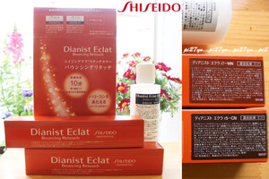 新品 資生堂 美容室 専売品 dianist eclat ２本 オキシ SHISEDO エイジングケア 白髪染め ヘアカラー ディアニスト エクラ プロ用 美容師