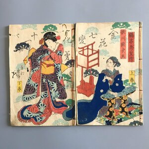 『金花七変化　十一編　上下揃い』 鶴亭秀賀　歌川国貞　木版画表紙　江戸時代　豊国　　和本 古文書 絵本 草双紙 猫 化け猫 妖怪 幽霊 怪