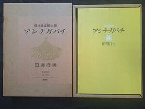 田淵行男 アシナガバチ 特装限定版 講談社　1988年（昭和63年）11月15日　限定100部28番