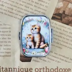 740　ハンドメイド ピルケース 薬箱 小物入れ 猫 親子