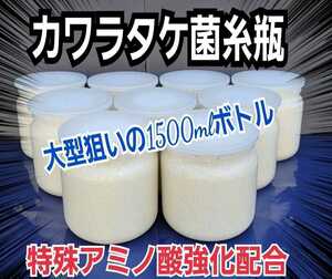 極上！カワラタケ菌糸瓶　　特大1500ml　トレハロース・キトサン強化配合　タランドゥス、オウゴンオニクワガタ、レギウスが巨大化します！