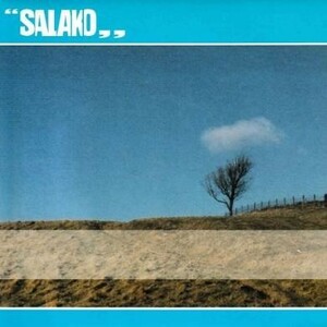 即決！SALAKO / GROWING UP THE NIGHT [7”] ギターポップ ベルセバ 宅録 LO-FI