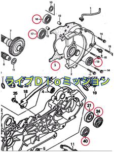 HONDA LIVE Dio ZX AF35/AF34 ライブディオ 前期 ミッションOH ベアリング オイルシール7点 ギアボックス ベアリング