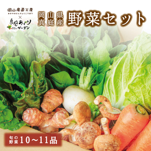 ☆新鮮野菜が箱いっぱい☆　野菜セット 送料無料 詰め合わせ 農家 真庭あぐり野菜セット ギフト 野菜