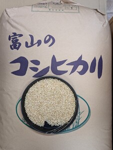 富山県産コシヒカリ　玄米３０kg　穀検１等