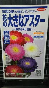 ３袋セット 花の大きな アスター あずみXL ポンポン 混合 種 郵 便は送料無料