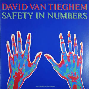 ◆DAVID VAN TIEGHEM/SAFETY IN NUMBERS (JPN LP) -坂本龍一, Private Music