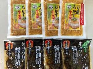 「宮崎の漬物」 万能おかず生姜130g×4袋 きゅうりの醤油漬100g×4袋 宮崎の野菜 漬物 ご飯の友 箸休め お茶うけ おかず 料理の友 送料無料