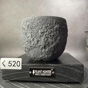 く520　M Hand Made 植木鉢 陶器 検（アガベ パキプス invisible ink raw life factory SRL 信楽焼 伝市鉢　カタチ製作所 塊根植物 亀甲竜