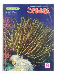 『こどもとしぜん 1980年8月号』なつのうみ特集 ひかりのくに 昭和55年8月 こどものいるか 深沢邦朗 天神しずえ