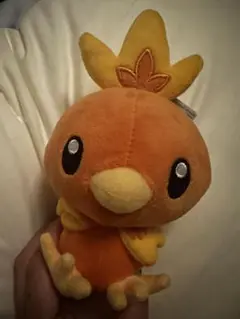 アチャモぬいぐるみ　ポケモン