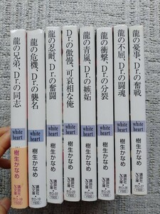 8冊セット 龍の兄弟　Dr.の同志　等　BL小説　樹生かなめ 他のシリーズも出品中