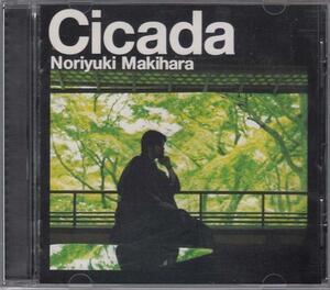 槇原敬之 / Cicada ★中古盤 /211104