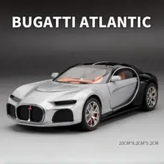 1/24 ブガッティ bugatti ミニカー ブラック シルバー