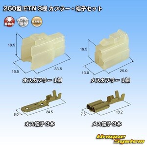 住友電装 250型 ETN 3極 カプラー コネクター・端子セット