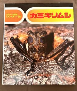 カミキリムシ カラー自然シリーズ３８ 文 長谷川洋 ・ 写真 久保秀一　偕成社　1981年初版第1刷発行