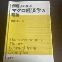 マクロ経済学の理論 武隈慎一著