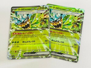 未使用品　ポケモンカード　変幻の仮面　オーガポンみどりのめんex　まとめ売り　016/101　150