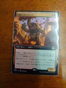 縄張り持ちのカヴー 拡張　モダンホライゾン２マジック・ザ・ギャザリング　MTG