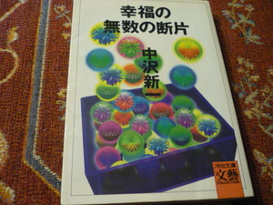 河出文庫　「幸福の無数の断片」　中沢新一　263頁