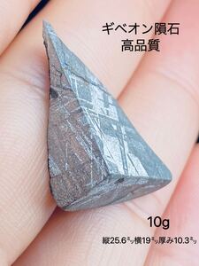 ★Gibeon Meteorite ギベオン隕石　10g　メテオライト 鉄隕石　ナミビア　ネックレス　メテオライトジャパン　隕石