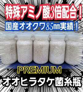 極上☆オオヒラタケ菌糸瓶【9本】トレハロース、ローヤルゼリー、アルギニン強化配合！クヌギ生オガ100％原料！国産オオクワ85㎜羽化実績